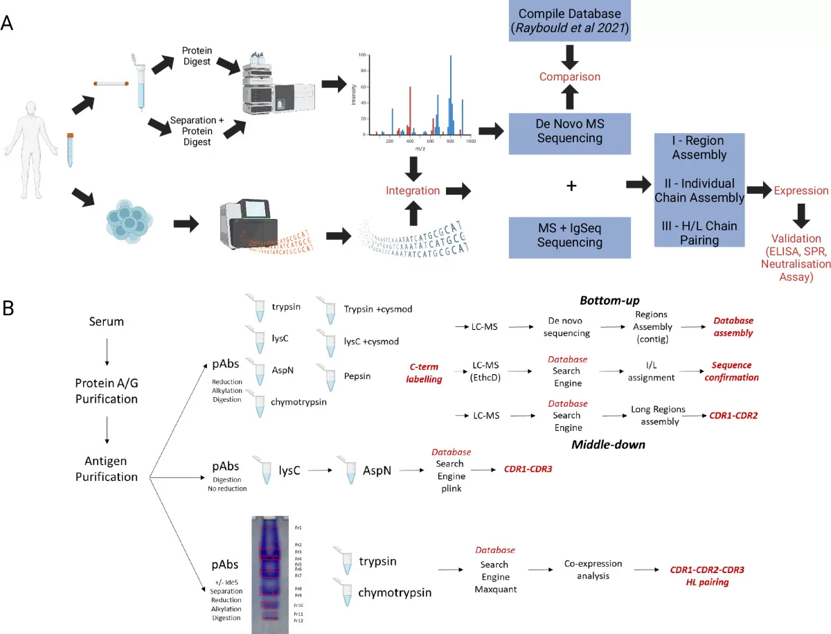 The Applications of Protein De Novo Sequencing by Mass Spectrometry